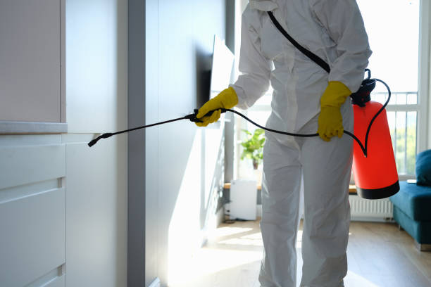 Best Crawl Space Mold Removal  in Medina, WA