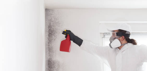 Best Certified Mold Removal  in Medina, WA
